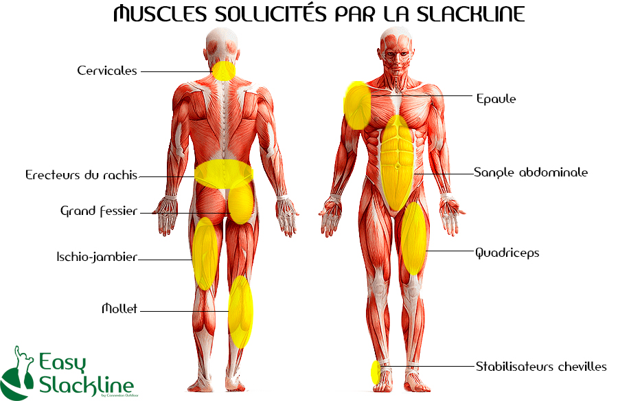 musculation slackline - santé